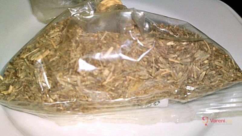 Kuře z Jaffy - fotografie 5