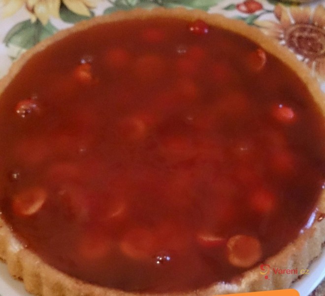 Domácí želatina - fotografie 2