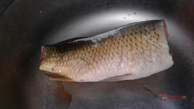 Kapr na hořčici - fotografie 2