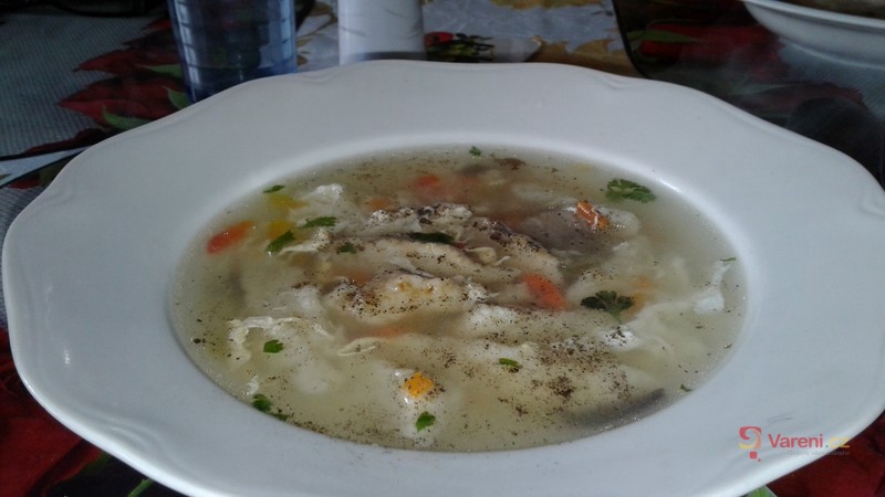 Husí nebo kachní polévka - fotografie 2