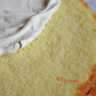 Vanilkový korpus - fotografie 2