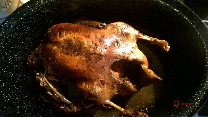 Pečená kachna na kmínu - fotografie 2