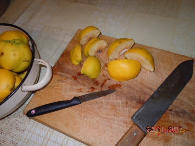 Kdoulový sýr ze slupek - fotografie 2