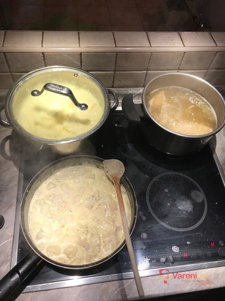 Kuřecí prsní řízek na kari - fotografie 2