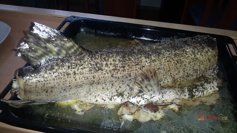 Štika ala Dočík - fotografie 2