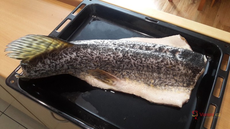 Štika ala Dočík - fotografie 3