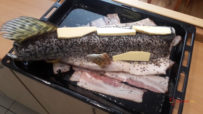 Štika ala Dočík - fotografie 4