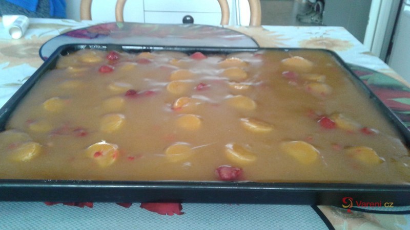 Piškotová buchta s ovocem a želé - fotografie 4