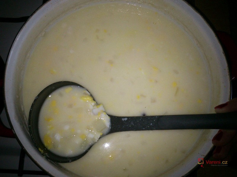 Bílá polévka