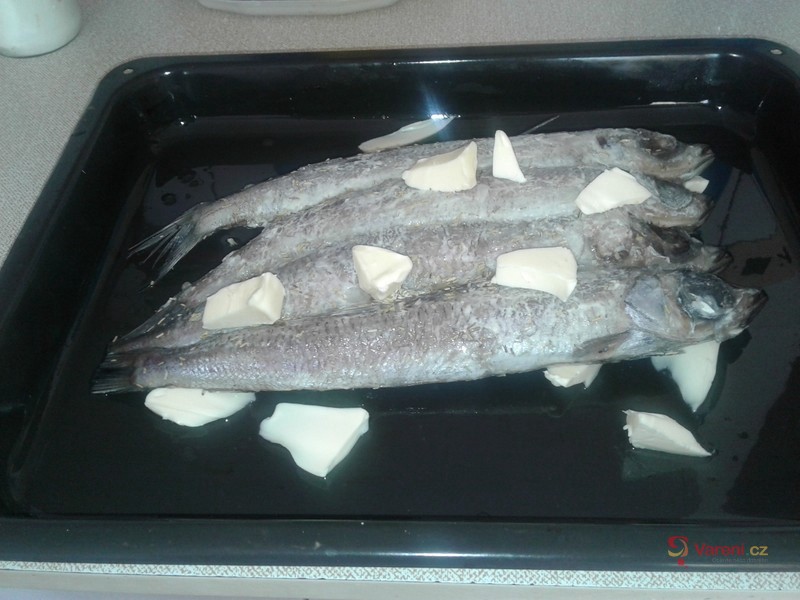 Pečený holandský pstruh - fotografie 3