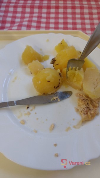 Vepřové kotlety v jogurtu - fotografie 2