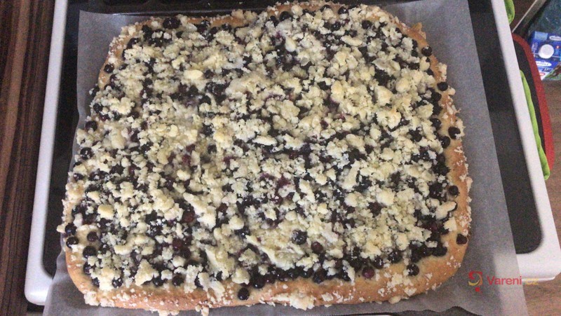 Kynutý borůvkový koláč s drobenkou - fotografie 4