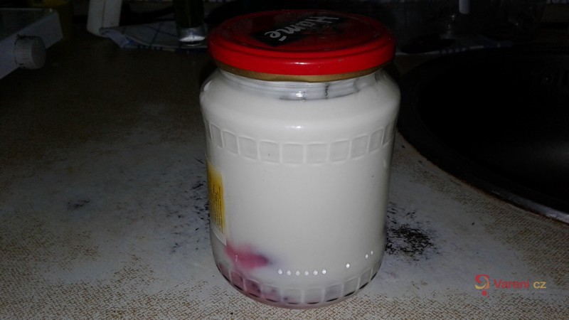 Domácí jogurt 1 - fotografie 3