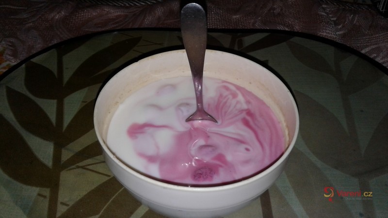 Domácí jogurt 1 - fotografie 2