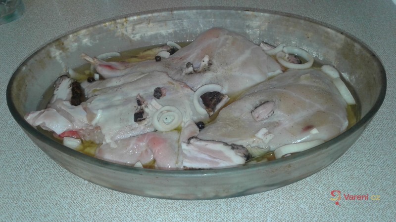 Králík na divoko - fotografie 4