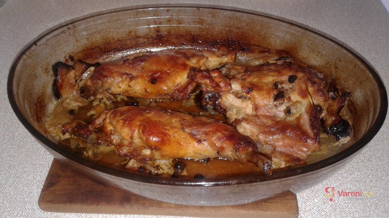 Králík na divoko - fotografie 3