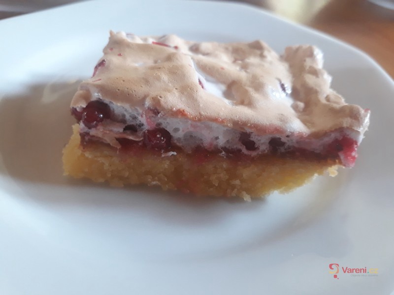 Rybízový koláč se sněhem - fotografie 4