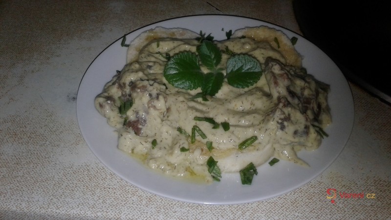 Koprová omáčka s hovězím - fotografie 2