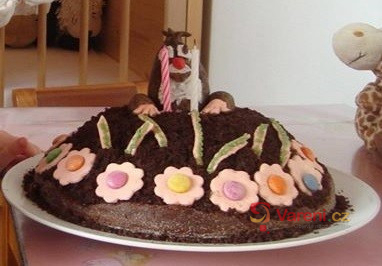 Krtečkův dort - fotografie 2