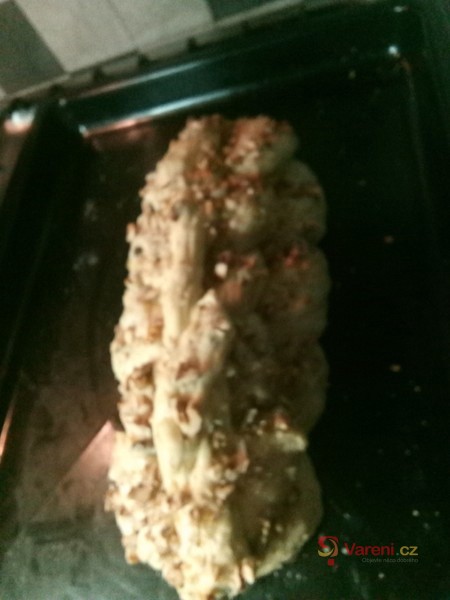 Domácí vánočka - fotografie 2