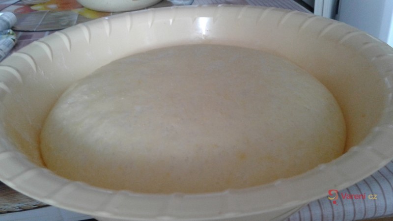 Domácí kynuté knedlíky - fotografie 3