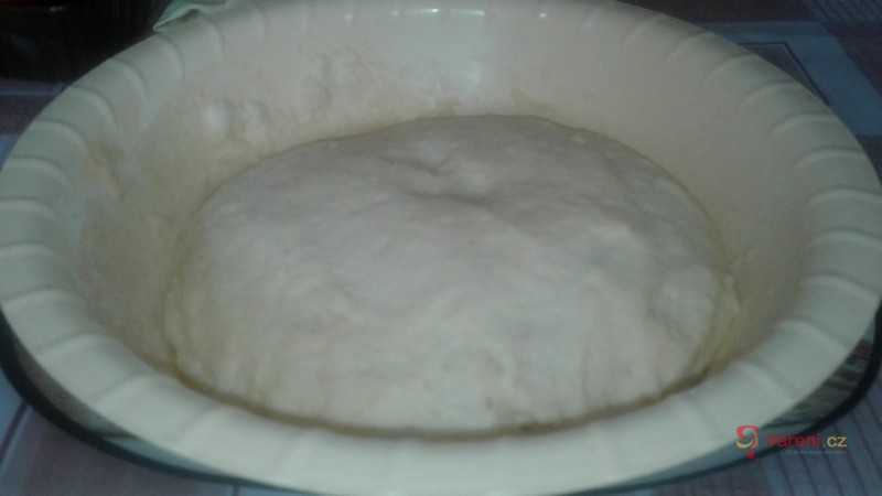 Kynuté meruňkové knedlíky bez vážení - fotografie 2