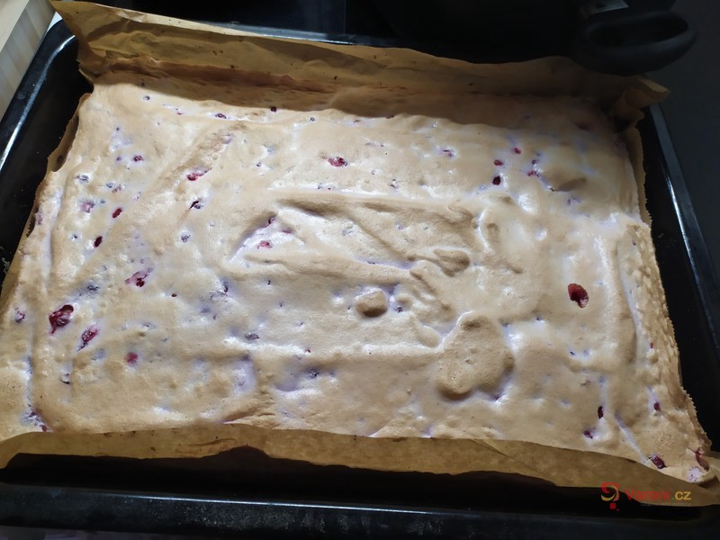 Rybízový koláč se sněhem - fotografie 3