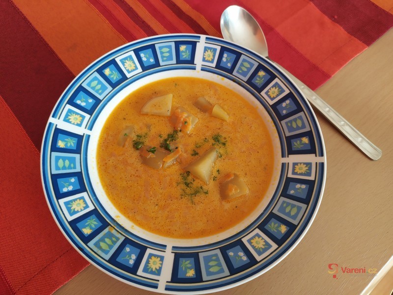 Vynikající mrkvová polévka - fotografie 2