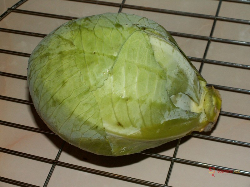 Moravské zelí - fotografie 2