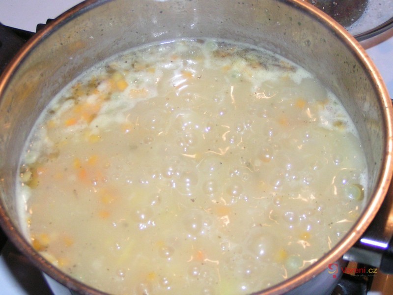 Hustá zeleninová polévka 1 - fotografie 5