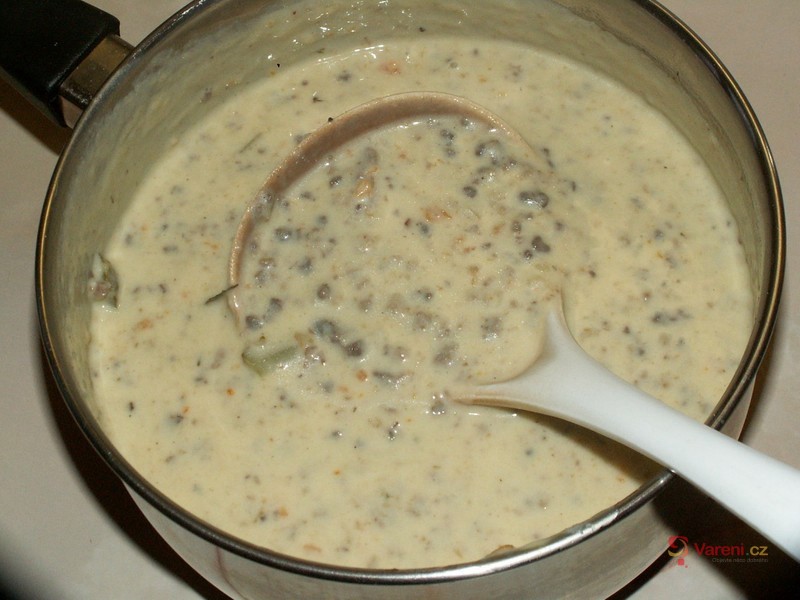 Plíčky na smetaně - fotografie 3