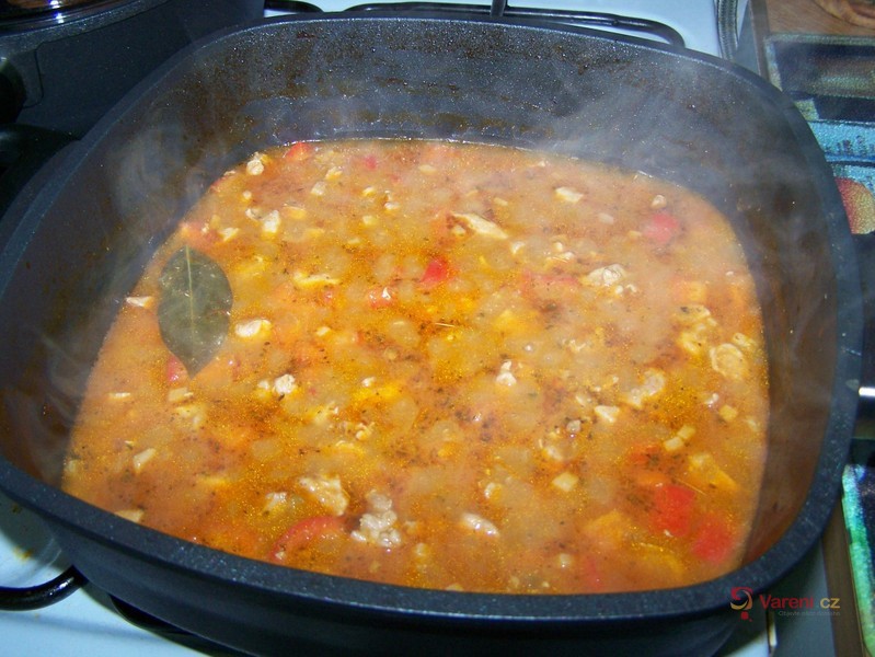 Krůtí guláš s rajčaty a paprikami - fotografie 4