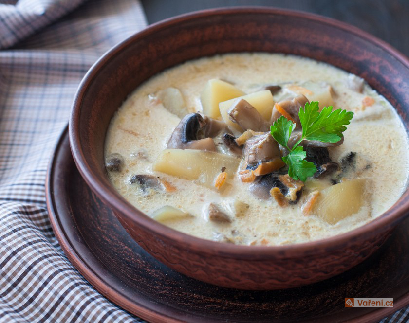 Houbová polévka s kyselou smetanou