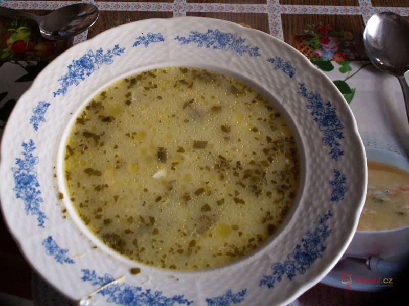 Šťovíková polévka mé babičky - fotografie 3
