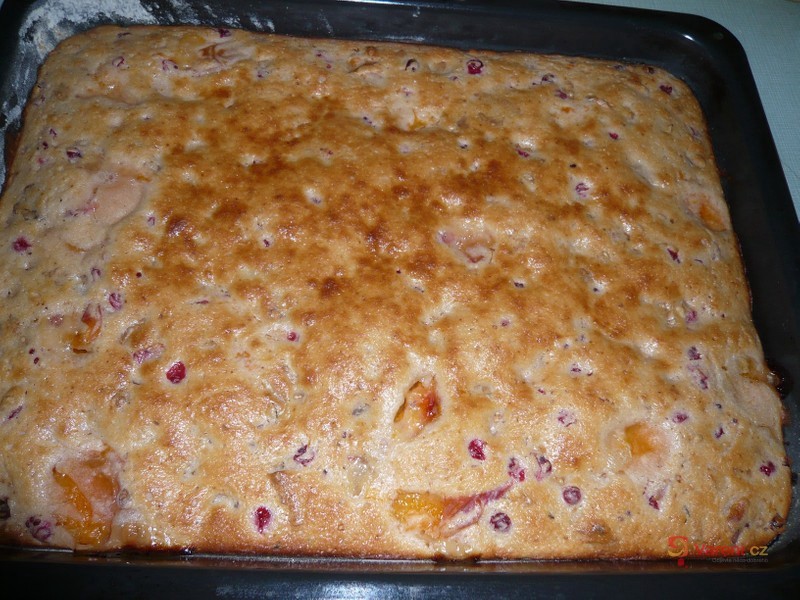 Ovocný zákusek - fotografie 2