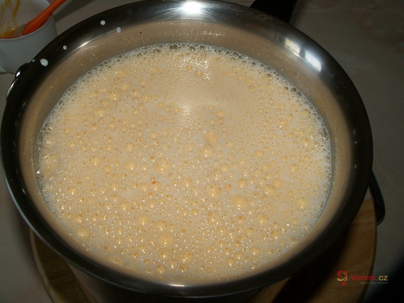 Vaječná hrudka - fotografie 3