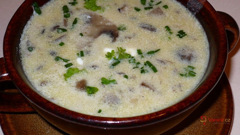Francouzská žampionová polévka - fotografie 2