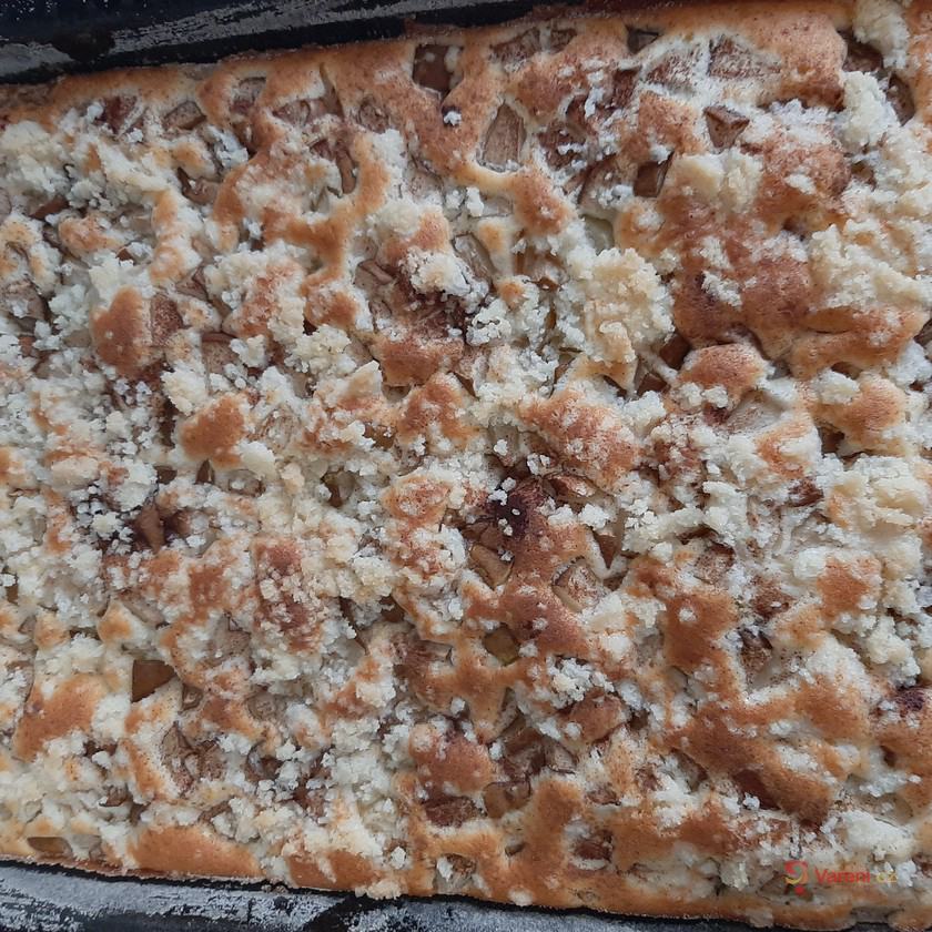 Hrnkový táč se švestkami - fotografie 2