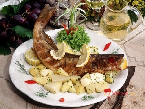 Maďarský pstruh - fotografie 2