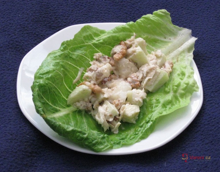 Salát Wayland - fotografie 2