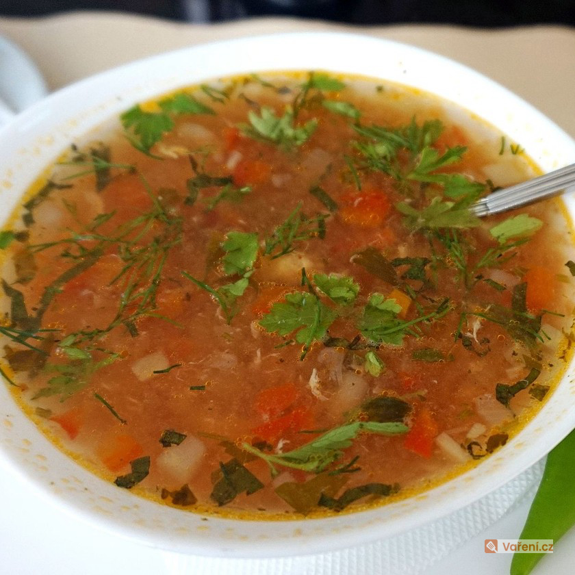 Dietní zeleninová polévka