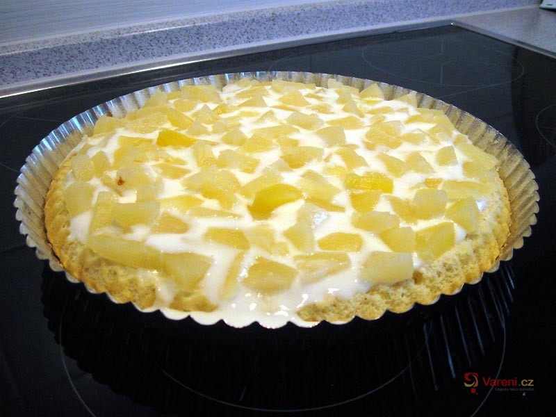 Piškot s fíky, ananasem a kiwi - fotografie 2