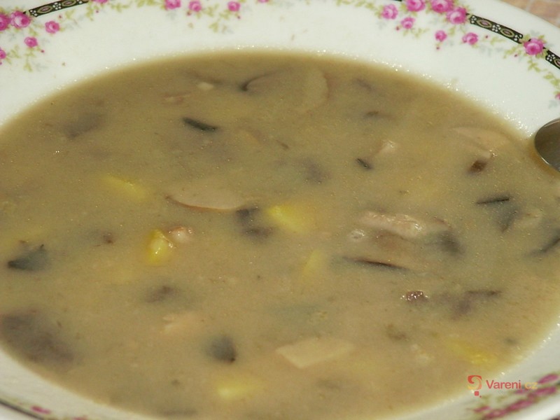 Nakyslá houbová polévka - fotografie 2
