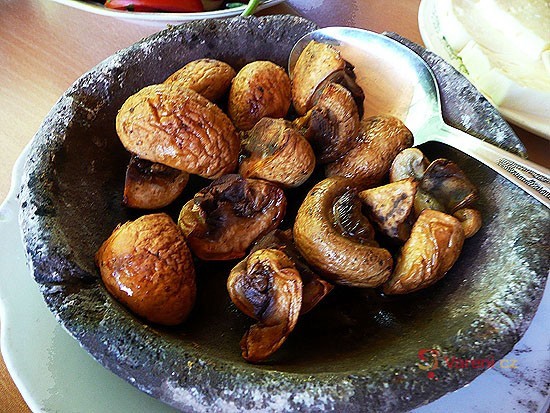 Hranolky z čerstvých hub - fotografie 2