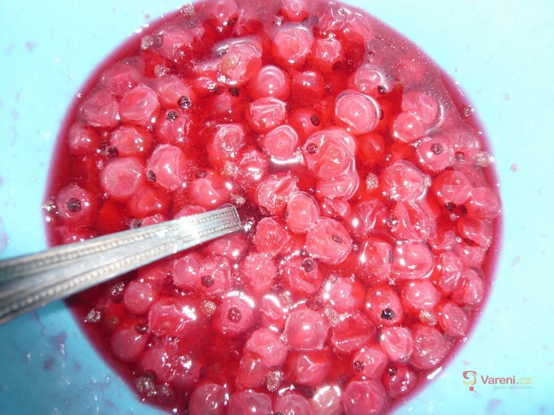 Rybíz ala brusinky - fotografie 2