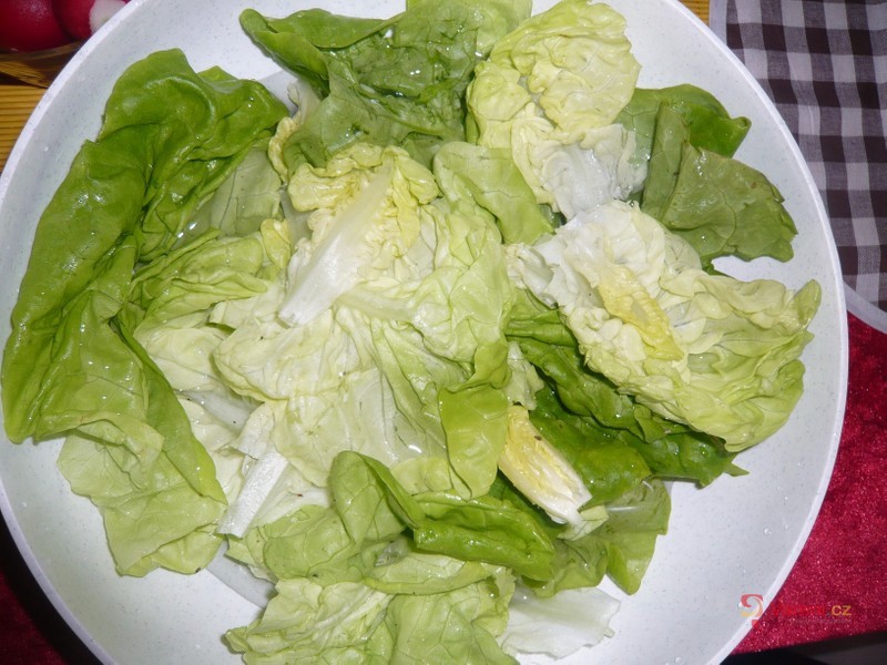 Hlávkový salát s ředkvičkami 1 - fotografie 2