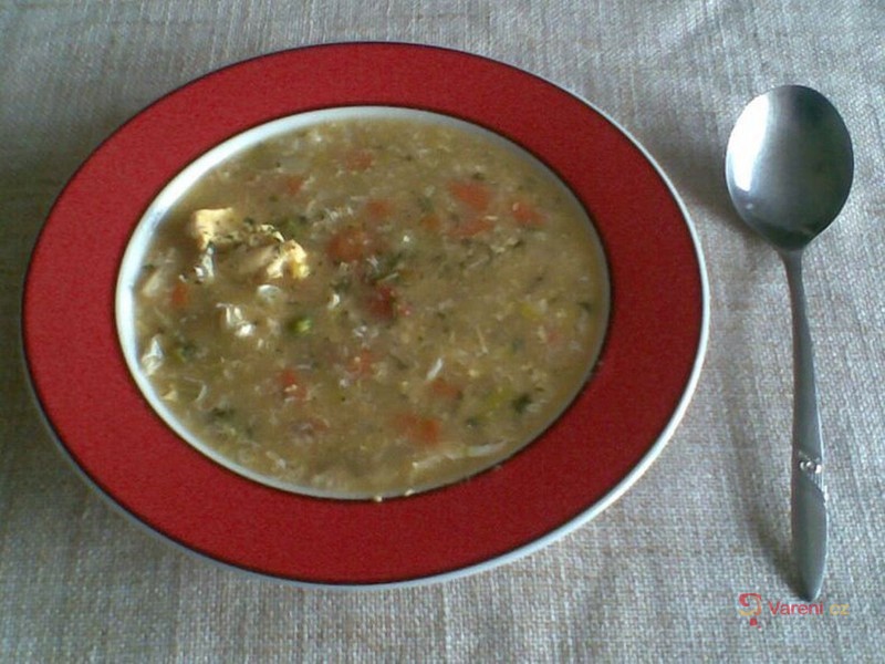 Vločková polévka se zeleninou