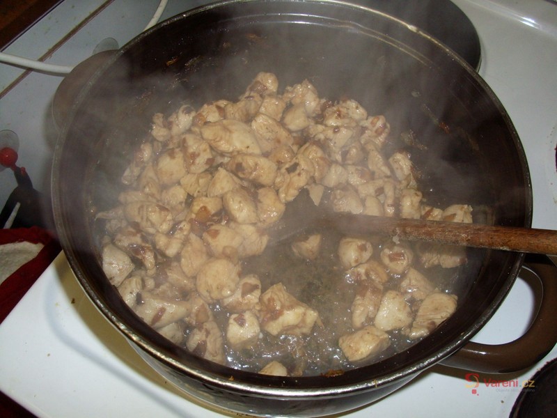 Kuřecí se zeleninou podle Míry - fotografie 2