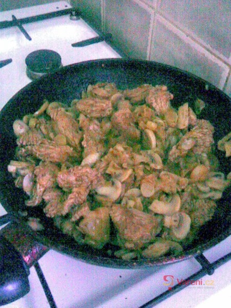 Krůtí nudličky s pórkem a žampiony - fotografie 4