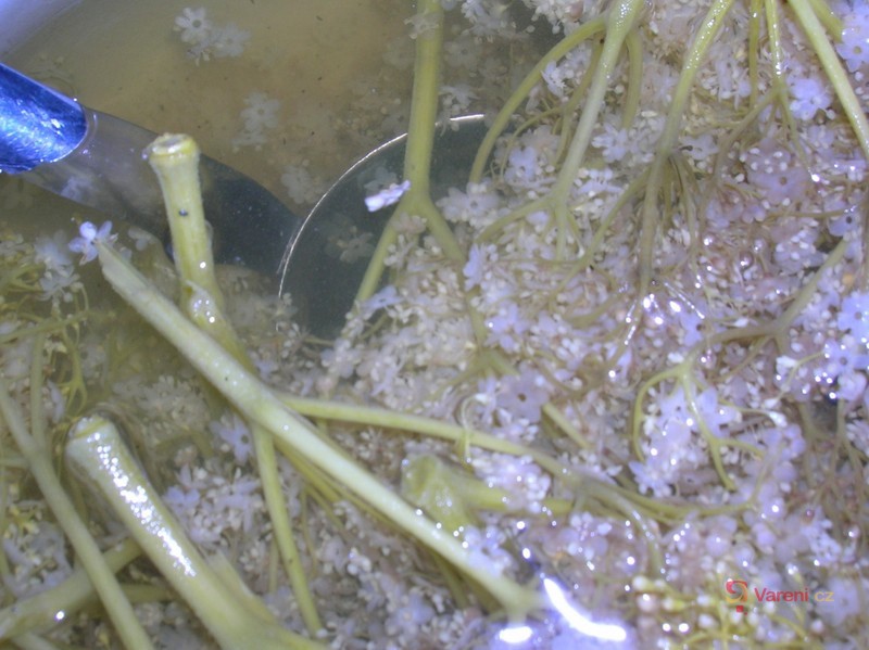 Bezová limonáda - fotografie 3